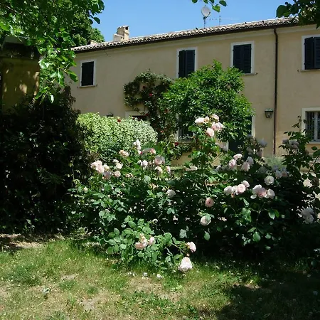 Casa Ezelina بيزارو