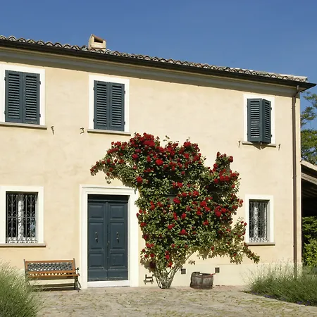 Casa Ezelina شقة بيزارو